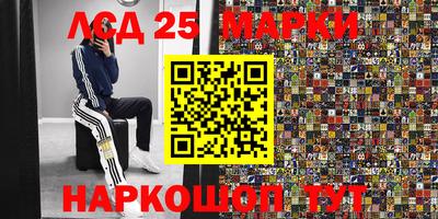 стаф Будённовск
