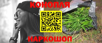 стаф Будённовск