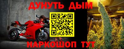 стаф Будённовск