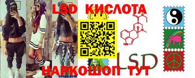 стаф Будённовск