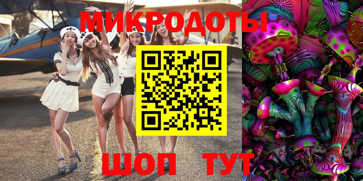 Псилоцибиновые грибы Psilocybe Курчалой