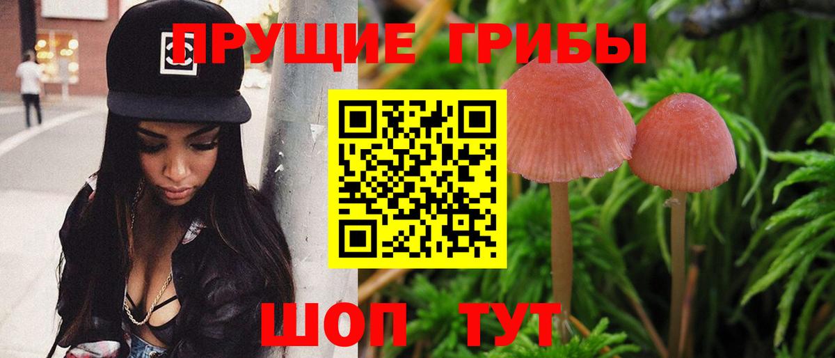 Курчалой  Псилоцибиновые грибы GOLDEN TEACHER  Вход с VPN  Галлюциногенные грибы Magic Shrooms 