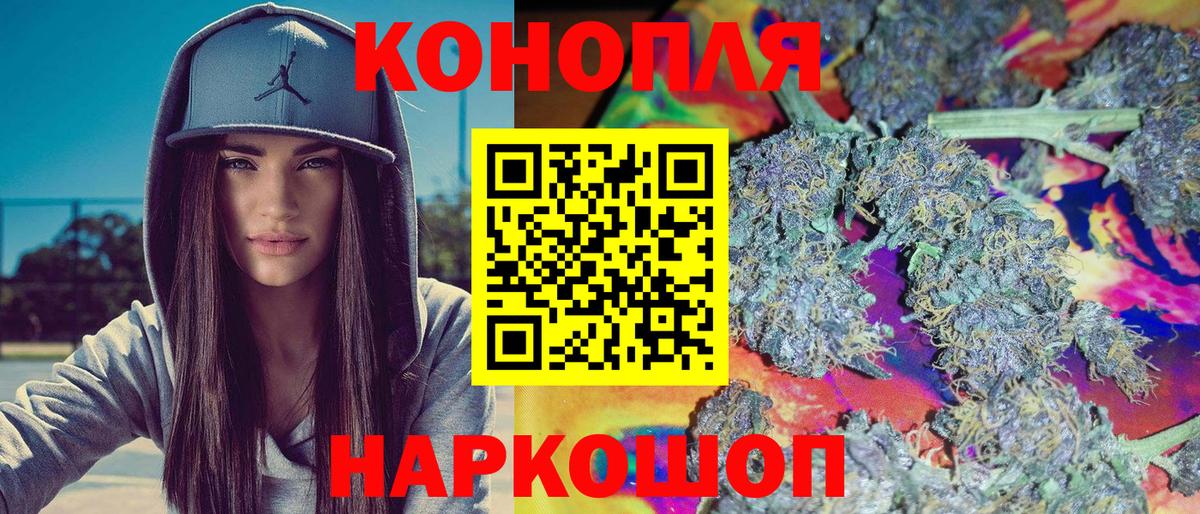 Конопля конопля Курчалой
